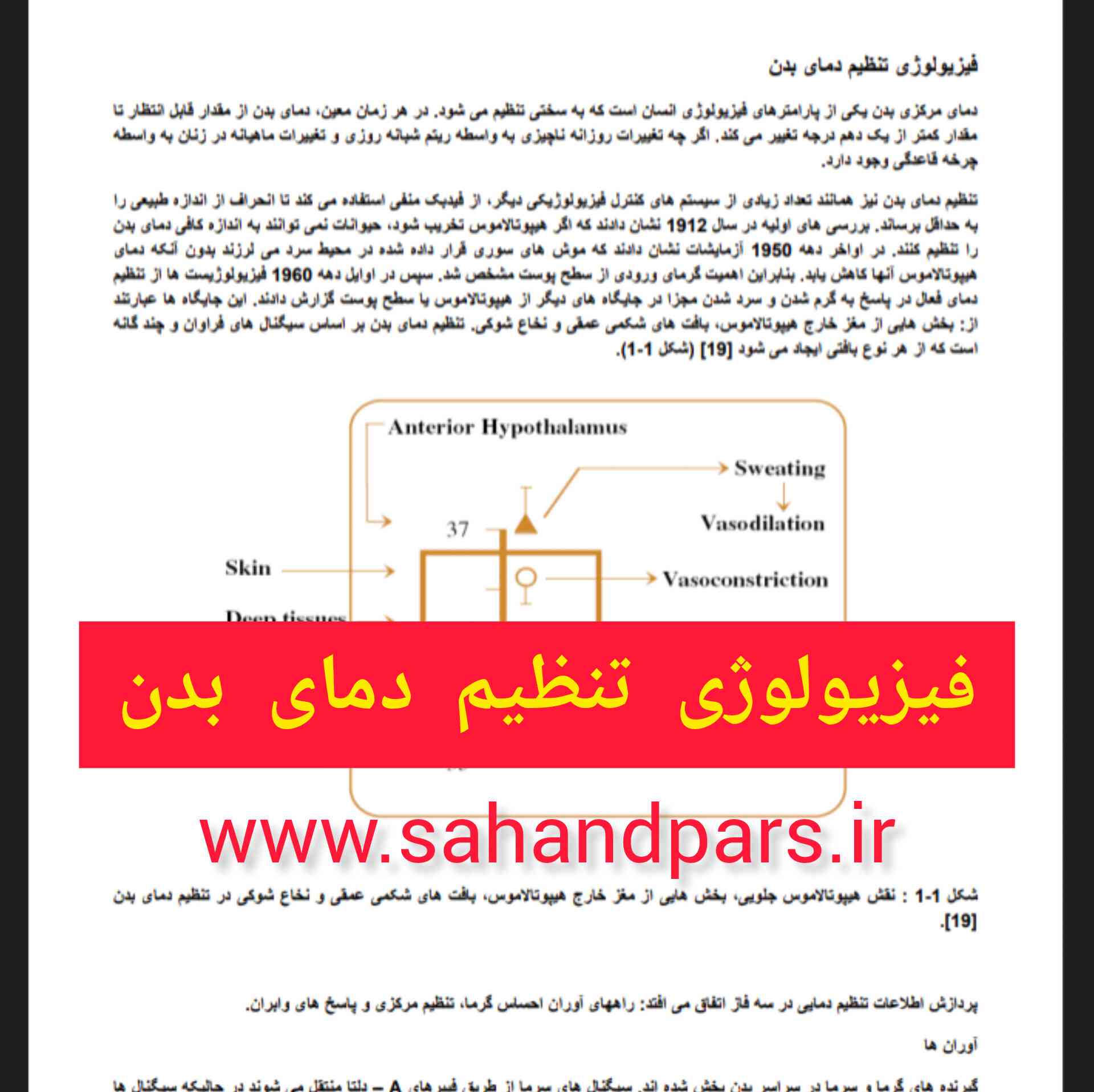 جزوه جامع فیزیولوژی تنظیم دمای بدن