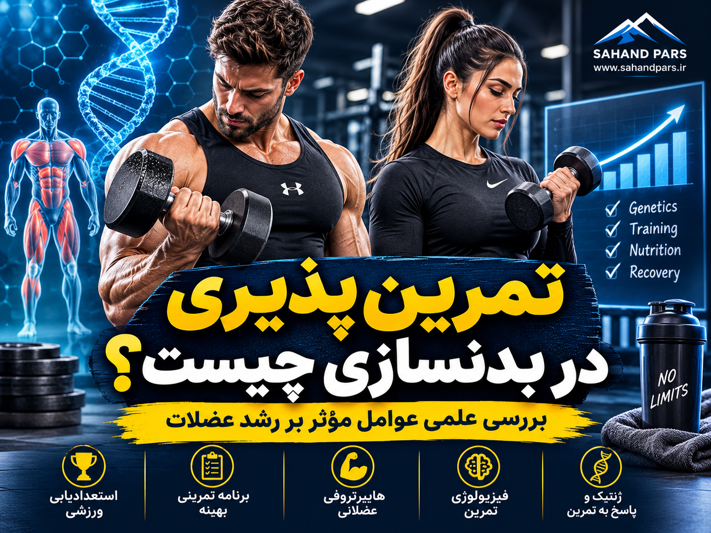تمرین‌پذیری در بدنسازی چیست؟